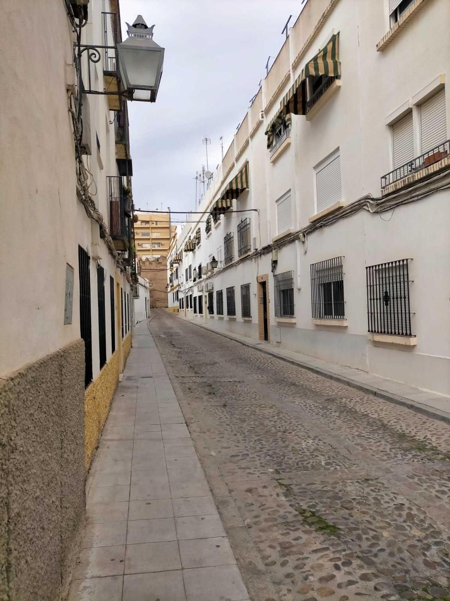 Nieves Viejas Los Patios Córdoba Kültér fotó
